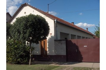Венгрия Privát Kiskunmajsa, Экстерьер